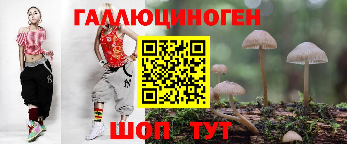 Псилоцибиновые грибы MAGIC MUSHROOMS  Вход с VPN  Верхний Уфалей  Псилоцибиновые грибы GOLDEN TEACHER 